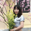 Picture of Chu Thị Thanh Thủy 037